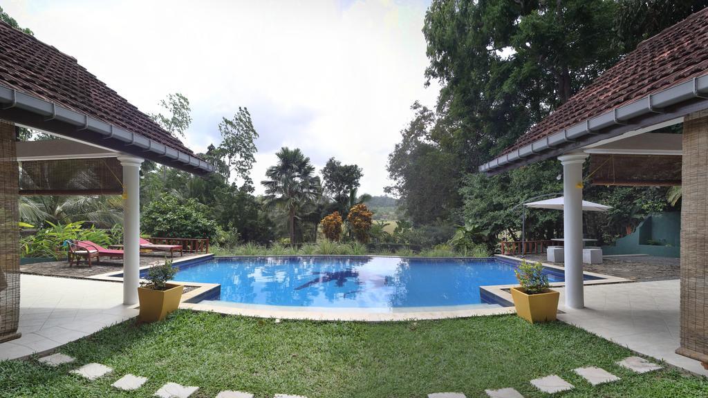 Lazy Lizard Hotel Galle Esterno foto